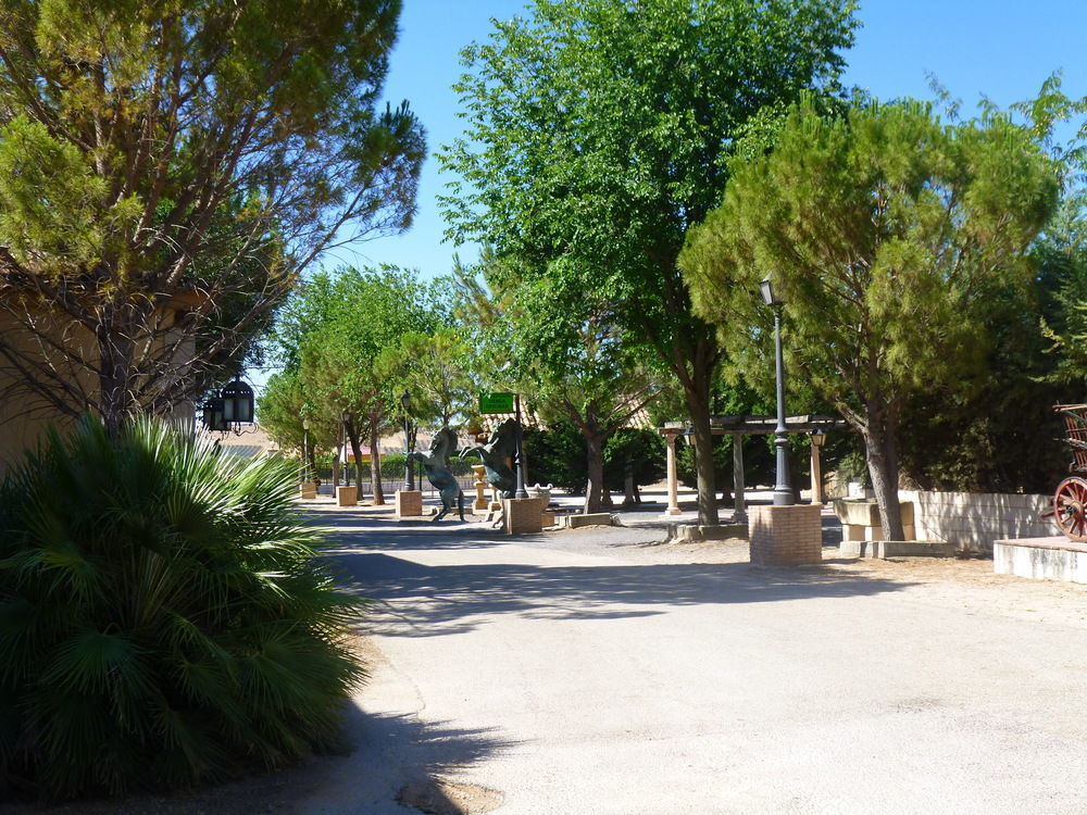 Alojamiento Rural Los Delfines Valdepeñas المظهر الخارجي الصورة